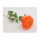 SUHO CVETJE VRTNICA ENOJNA ORANŽNA