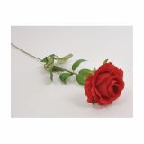 SUHO CVETJE VRTNICA ENOJNA RDEČA