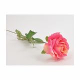 SUHO CVETJE VRTNICA ENOJNA ROZA