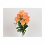 SUHO CVETJE VRTNICA ŠOPEK X 9 Z ZELEN JEM BRESKEV