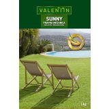 SEME ZA TRAVO VALENTIN SUNNY 1 KG