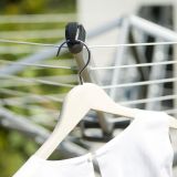 SUŠILO BRABANTIA STENSKO WALLFIX 24M