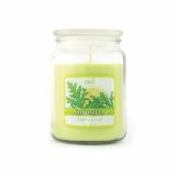 SVEČA V KOZARCU ILKOS BIG JAR CITRONELLA
