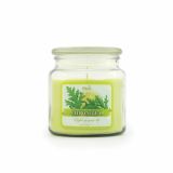 SVEČA V KOZARCU ILKOS MIDDLE JAR CITRONELLA