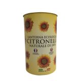 SVEČA MULLER CITRONELLA LANTERNA