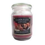 SVEČA MULLER ZIMSKI VONJ 510G