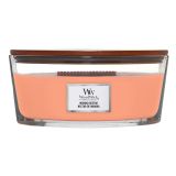 SVEČA V KOZARCU WOODWICK CLASSIC ELLIPSE MANUKA NECTAR