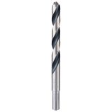 SVEDER HSS BRUŠEN DIN 338 BOSCH 12 X 101 X 151 MM