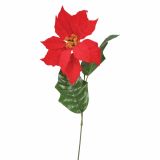 SVILENO CVETJE BOŽIČNA ZVEZDA VEJICA 60 CM