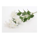 SVILENO CVETJE DAR CVETOČA VEJICA 63CMX3 BELA