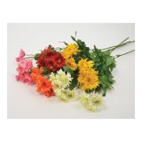 SVILENO CVETJE DAR MARJETICA VEJICA 76CM 12 CVETOV, RAZNOBARVNA