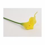 SVILENO CVETJE KALA ENOJNA RUMENA