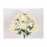 SVILENO CVETJE KRIZANTEMA PAJKOVKA ŠOPEK X12