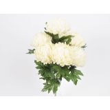 SVILENO CVETJE KRIZANTEMA ŠOPEK X 7 KREM