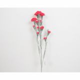 SVILENO CVETJE NAGELJ VEJICA X 5 FUKSIJA