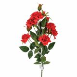 SVILENO CVETJE VRTNICA VEJICA RDEČA