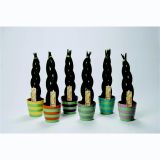 TAŠČIN JEZIK L10.5