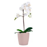 KERAMIČNI NOTRANJI LONEC THALIA 14 CM ANTIČNO ROZA