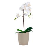 KERAMIČNI NOTRANJI LONEC THALIA 14 CM BEŽ