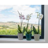 KERAMIČNI NOTRANJI LONEC THALIA 14 CM TEMNO SIV