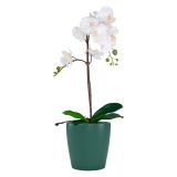 KERAMIČNI NOTRANJI LONEC THALIA 14 CM TEMNO ZELEN