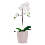 KERAMIČNI NOTRANJI LONEC THALIA 14 CM VIJOLIČEN