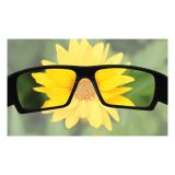 POLARIZIRANA HD SONČNA OČALA TOP SHOP