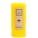 TOP SVEČA ATMOSPHERE CITRONELLA, 358 G, RUMENA