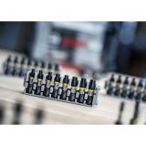 TORX NASTAVEK BOSCH PRO T30, 55 MM, 2 KOSA