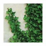 BRŠLJAN EVITA MIX L13