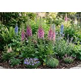 TRAJNICA DIGITALIS L17 CM
