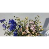 TRAJNICA KITAJSKI OSTROŽNIK L17