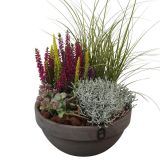 TRAJNICA NASAD JESENSKI PTHO7701 V GLINASTI SKLEDI L23 CM