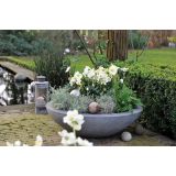 TELOH VOLMARY ČRNI, L19