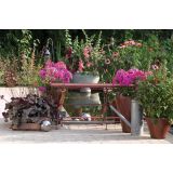 TRAJNICA VOLMARY L23 CM