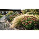 TRAVE STIPA TEN. PONYTAILS L17 CM