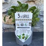 MIX DIŠAVNIC IN ZELIŠČ TRIO GRILL L14