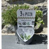 MIX DIŠAVNIC IN ZELIŠČ TRIO PIZZA L14