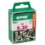 VIJAK CILINDRIČNA GLAVA SPAX TRX 5X30 V ZAVITKU 40 KOS