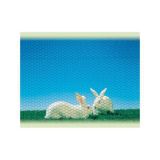 MERKUR POCINKANO PLETIVO DIRICKX TTX ZN 25X0.8X1000 ROLA=50M