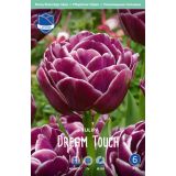 TULIPANI DREAM TOUCH