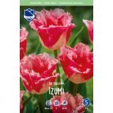 TULIPANI IZUMI