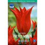 TULIPANI PRETTY WOMAN