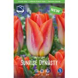 TULIPANI SUNRISE DYNASTY