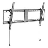 TV NOSILEC MANHATTAN STENSKI 43"-100" TILTING