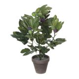 UMETNA LONČNICA MICA FIGA ZELENA D13.5CM H50CM