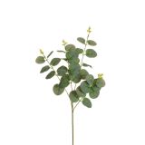 UMETNO CVETJE EVERGREENS EUKALIPTUS VEJICA