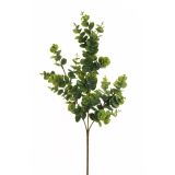 UMETNO CVETJE EVERGREENS EVKALIPTUS CINERA ZELENO SIV 66 CM