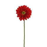 UMETNO CVETJE EVERGREENS GERBERA RDEČA