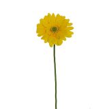 UMETNO CVETJE EVERGREENS GERBERA RUMENA
